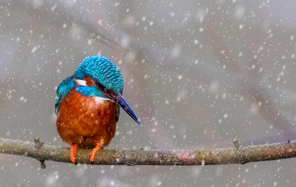 Thinkphp使用PhpSpreadsheet导入&导出Excel（适用各种Excel操作场景）